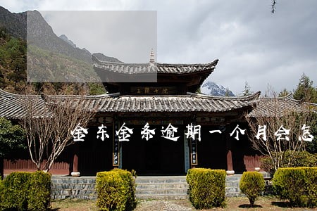 金东金条逾期一个月会怎样 金东金条逾期一个月会怎样