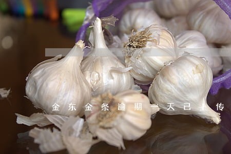 金东金条逾期一天已上传征信 金东金条逾期一天已上传征信