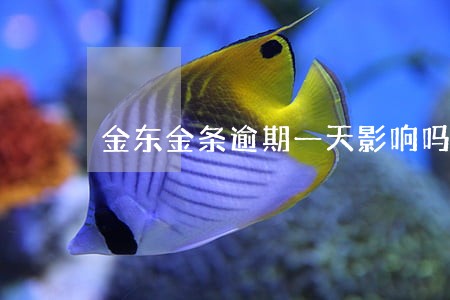 金东金条逾期一天影响吗 金东金条逾期一天影响吗