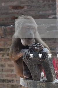 金东金条逾期三个月 金东金条逾期三个月