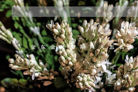 金东金条逾期两天怎么办 金东金条逾期两天怎么办