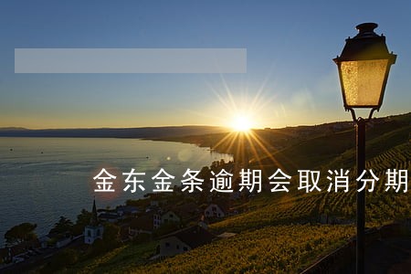金东金条逾期会取消分期还款吗 金东金条逾期会取消分期还款吗
