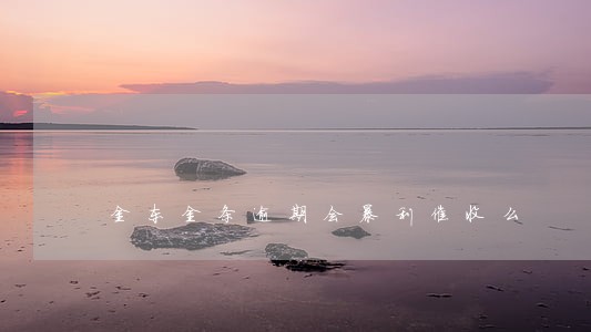 金东金条逾期会暴利催收么 金东金条逾期会暴利催收么