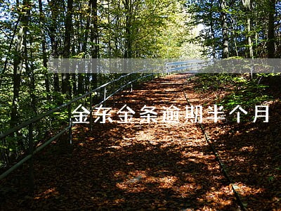 金东金条逾期半个月 金东金条逾期半个月
