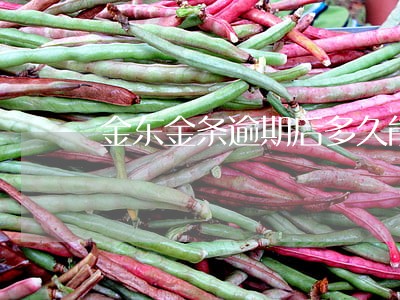 金东金条逾期后多久能开通 金东金条逾期后多久能开通