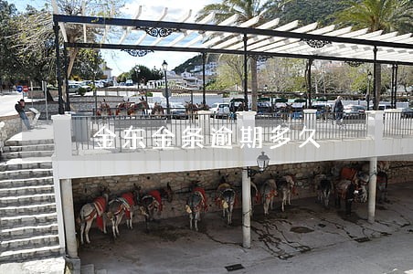 金东金条逾期多久