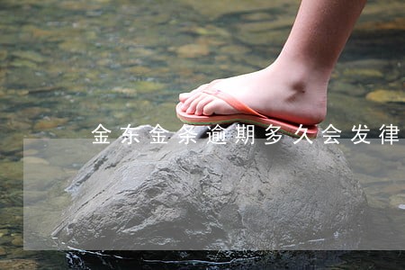 金东金条逾期多久会发律师函