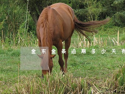 金东金条逾期多少天有g影响