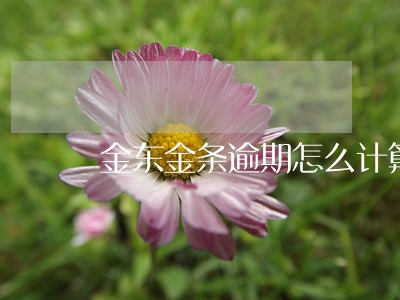 金东金条逾期怎么计算