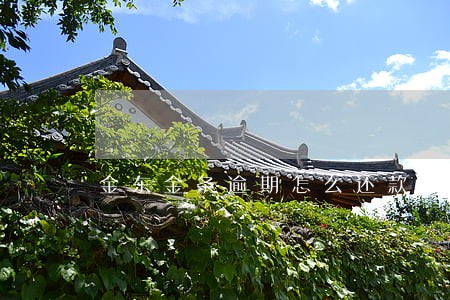 金东金条逾期怎么还款