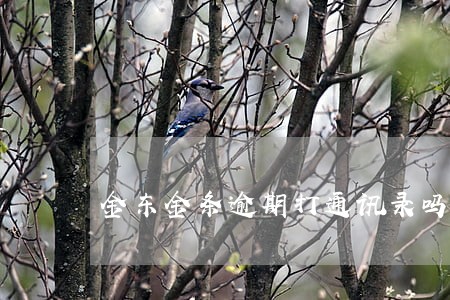金东金条逾期打通讯录吗