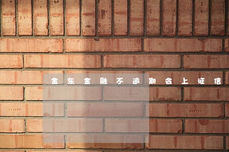 金东金融不逾期会上征信吗