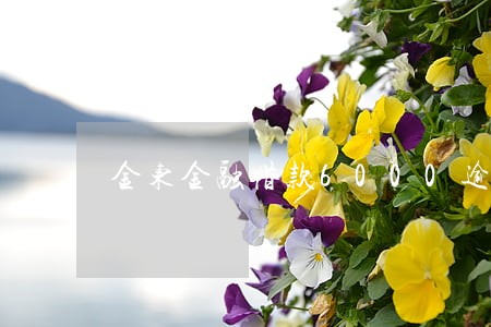 金东金融借款6000逾期 金东金融借款6000逾期