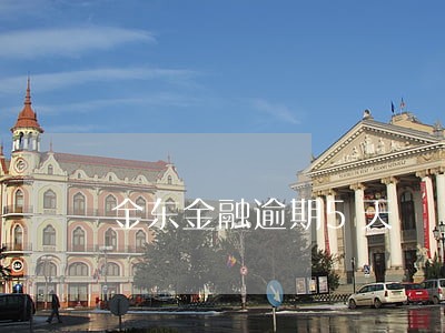 金东金融逾期5天 金东金融逾期5天