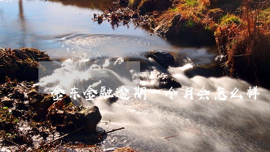 金东金融逾期一个月会怎么样 金东金融逾期一个月会怎么样