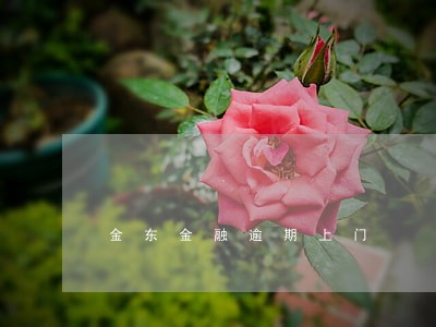 金东金融逾期上门