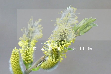 金东金融逾期上门吗