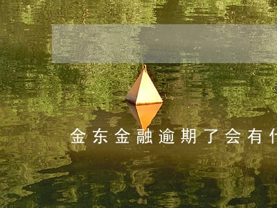 金东金融逾期了会有什么后果