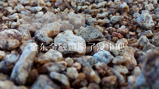 金东金融逾期了没事吧