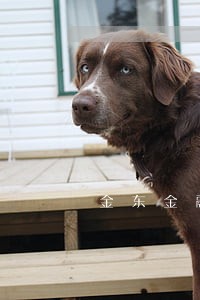 金东金融逾期会派人上门催收吗