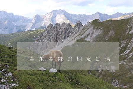 金东金融逾期发短信