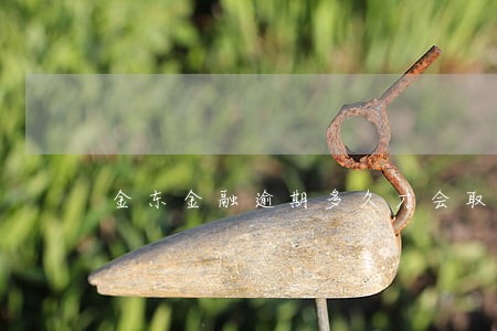 金东金融逾期多久才会取消分期