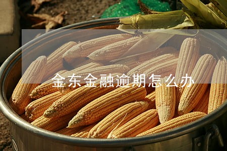 金东金融逾期怎么办