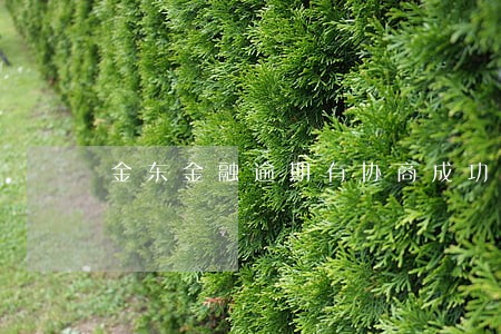 金东金融逾期有协商成功的吗