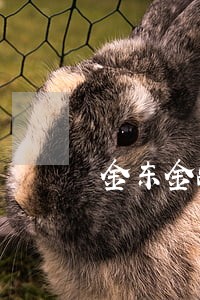 金东金融逾期真的会起诉你嘛 金东金融逾期真的会起诉你嘛