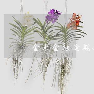 金东金融逾期还不起怎么办
