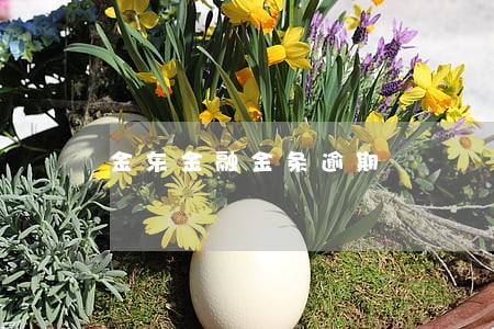金东金融金条逾期