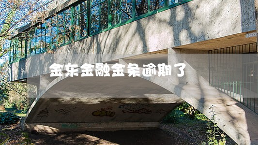 金东金融金条逾期了