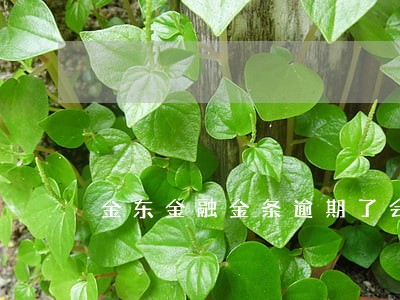 金东金融金条逾期了会上征信吗