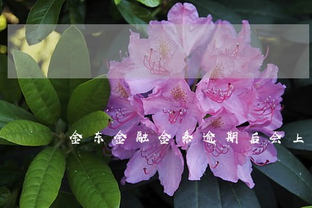 金东金融金条逾期后会上门吗