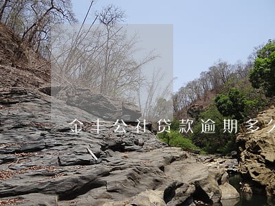 金丰公社贷款逾期多久才是不良