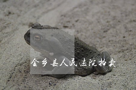 金乡县人民法院拍卖