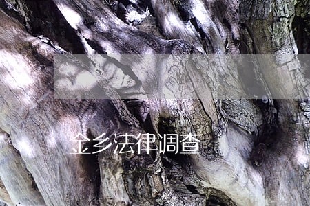 金乡法律调查 金乡法律调查