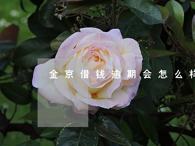 金京借钱逾期会怎么样 金京借钱逾期会怎么样