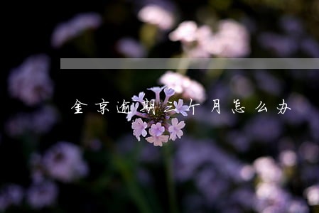 金京逾期三个月怎么办 金京逾期三个月怎么办