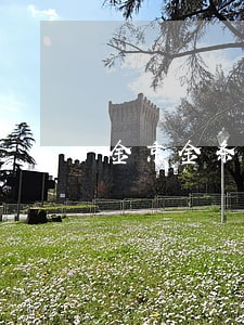 金京金条逾期 金京金条逾期