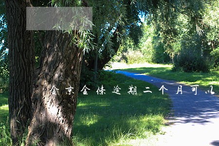 金京金条逾期二个月可以坐动车嘛 金京金条逾期二个月可以坐动车嘛