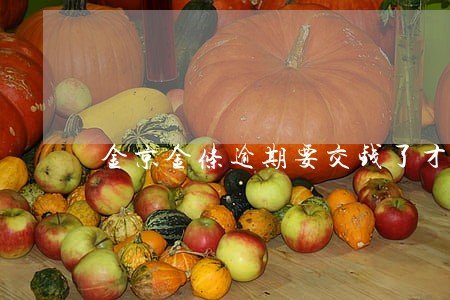 金京金条逾期要交钱了才协商 金京金条逾期要交钱了才协商