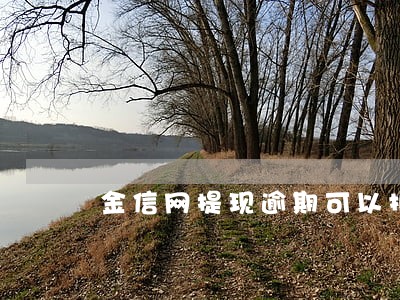 金信网提现逾期可以报案吗