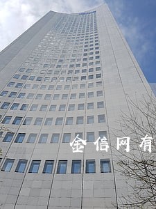 金信网有逾期会上征信吗