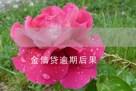 金信贷逾期后果 金信贷逾期后果