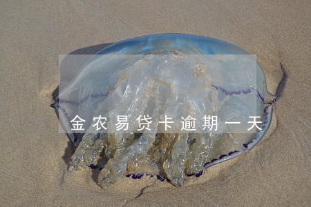 金农易贷卡逾期一天 金农易贷卡逾期一天