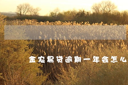 金农易贷逾期一年会怎么样 金农易贷逾期一年会怎么样