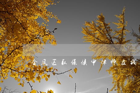 金凤区取保候审律师在线免费咨询 金凤区取保候审律师在线免费咨询