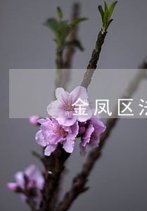 金凤区法院电话号码
