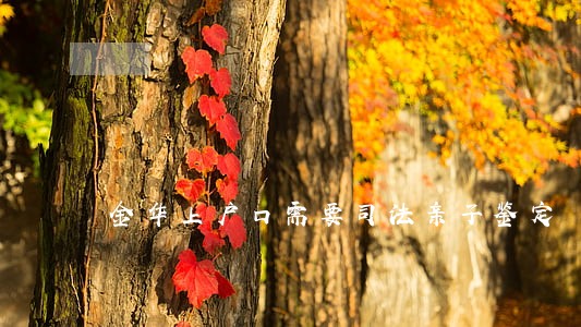金华上户口需要司法亲子鉴定 金华上户口需要司法亲子鉴定